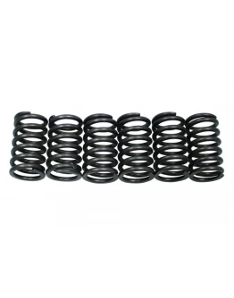 Arcuri ambreiaj motor PSYCHIC pentru KTM SXC 540 '98-'99, LC4 620 ADVENTURE '96-'97, LC4 620 COMPETITION/SUPERMOTO '99, LC4 620 SUPERCOMP '96-'99, SX 620 '97-'99, SMC 625 '04-'06, SXC 625 '03-'04, LC4 640 ADVENTURE-R '98-'02, LC4 640 SUPERMOTO '03-'04, 66