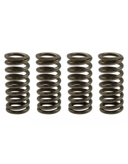 Arcuri ambreiaj motor PSYCHIC pentru HONDA CRF 450F '11-'12 (EBS174)
