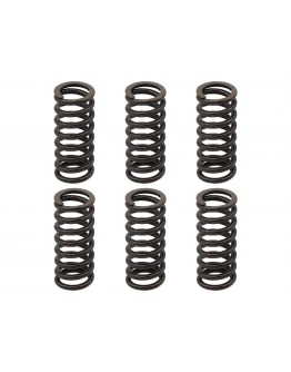 Arcuri ambreiaj PSYCHIC pentru KTM EXC 250 RACING '02-'05, EXC-F 250 '03-'04, EXC 400 '01-'07, SX/MXC '00-'02, EXC/MXC/SMR/SX 450/525 '03-'05, SMR 560 '06, (EBS094)