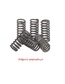 Arcuri ambreiaj motor PSYCHIC pentru KAWASAKI KLX 450R '08-'12, KX 450F '06-'11