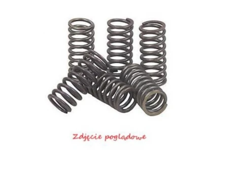 PSYCHIC SPRĘŻYNY SPRZĘGŁOWE KAWASAKI KLX 450R 08-12, KX 450F 06-11 | MX-03200A