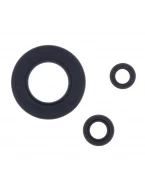 ATHENA KOMPLET (ZESTAW) USZCZELNIACZY SILNIKOWYCH KAWASAKI ZX-10R NINJA 04-10 | P400250400033