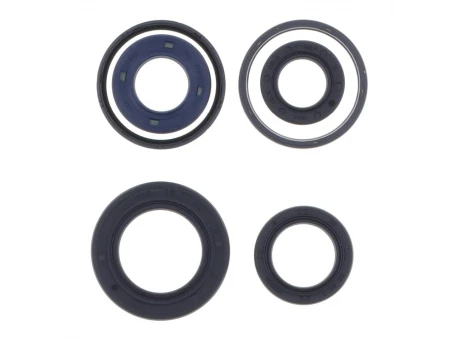 ATHENA KOMPLET (ZESTAW) USZCZELNIACZY SILNIKOWYCH PEUGEOT BUXY 50 94-98, ELYSTAR 50 03-05, LOOXOR 50 01-03, LUDIX 10 04-06, SPEEDAKE/SQUAB 50 94-97, SPEEDFIGHT 50 97-06, SV 50 GEO 91-99, VIVACITY 50 99-04, ZENITH 50 91-99 | P400420400061