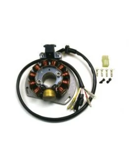 Stator alternator ELECTREX - KTM EXC 125/200/300/380, EGS 125/200 '98-'00 (84X29X14 MM), GAS GAS