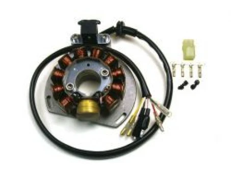 Stator alternator ELECTREX - KTM EXC 125/200/300/380, EGS 125/200 98-00 (84X29X14 MM), GAS GAS | G146