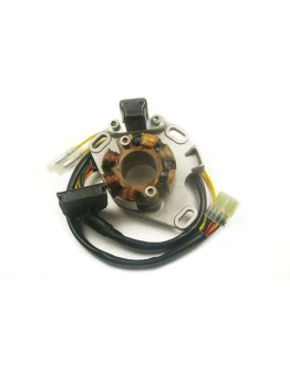 Stator alternator cu lumini ELECTREX - SUZUKI RM 250 '02