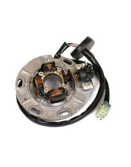 Stator alternator cu lumini ELECTREX - YAMAHA YZ 250 '99-'02