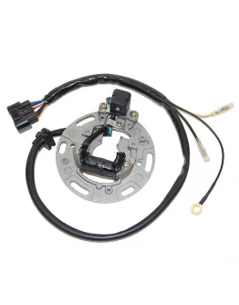 Stator alternator ELECTROSPORT - KAWASAKI KX 85/100 '01-'05