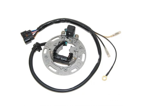 Stator alternator ELECTROSPORT - KAWASAKI KX 85/100 01-05 | ESC1366