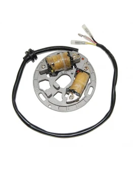 Stator alternator ELECTROSPORT - cu lumini KAWASAKI KDX 200 (89-05), KDX 220R (97-05)