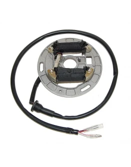 Stator alternator ELECTROSPORT - cu lumini SUZUKI LT80 Quadsport (87-06)