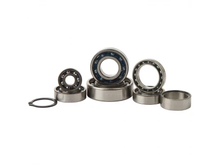 HOT RODS ZESTAW NAPRAWCZY SKRZYNI BIEGÓW KTM SX 125 98-02, EXC 125 98-02 | TBK0102