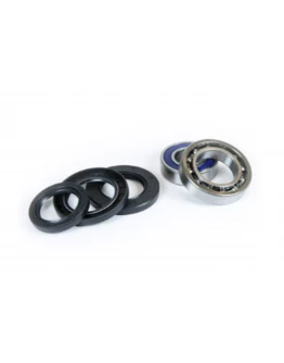 Rulmenti roata spate ProX cu simeringuri YAMAHA YFM 35FX WOLVERINE '95-'99 (25-1017)