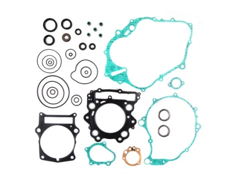 PROX KOMPLET USZCZELEK Z KOMPLETEM USZCZELNIACZY SILNIKOWYCH YAMAHA YFM 660 R RAPTOR 01-05 | 34.2662
