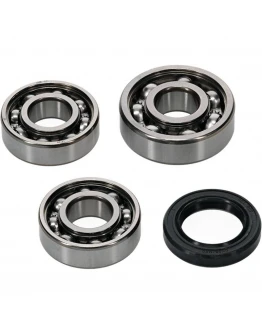Set reparatie ax echilibrare (rulmenti, simering) Hot Rods POLARIS RZR 170 '09-'20
