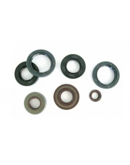 Set complet simeringuri motor Athena HONDA CB 250 '94-'07