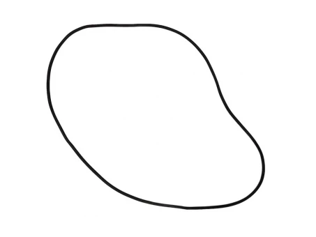 ATHENA USZCZELKA (O-RING) POKRYWY PUSZKI FILTRA POWIETRZA YAMAHA XJ 600N (OEM: 4BR1445200) (1VJ-14462-00-00) | S410485020008
