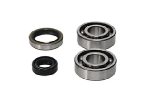 PROX ŁOŻYSKA WAŁU KORBOWEGO Z USZCZELNIACZAMI KTM SX 50 09-12 | 23.CBS60009