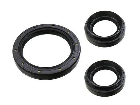Kit etansare diferential fata BRONCO YAMAHA YFM 400 BIG BEAR 07-12, YFM 450 GRIZZLY 07-14, YFM 450 KODIAK 03-06, YFM 660 GRIZZLY 02-08, YFM 700 GRIZZLY 07-21, VIKING 700 15-21, YXZ 1000 R 16-21 (25-2044-5) | AT-03582