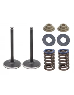 Set supape de admisie PSYCHIC (Arcuri incluse I Cu șaibe incluse) KAWASAKI KXF 450 (KX 450F) '17-18 STALOWE (12004-0745) Set supape de admisie PSYCHIC (Arcuri incluse I Cu șaibe incluse) KAWASAKI KXF 450 (KX 450F) '17-18 STALOWE (12004-0745)