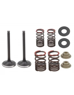 Set supape de admisie PSYCHIC (Arcuri incluse I Cu șaibe incluse) KAWASAKI KXF 450 (KX 450F) '17-18 STALOWE (12005-0766) Set supape de admisie PSYCHIC (Arcuri incluse I Cu șaibe incluse) KAWASAKI KXF 450 (KX 450F) '17-18 STALOWE (12005-0766)