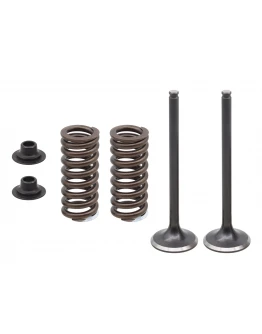 Set supape de admisie PSYCHIC (Arcuri incluse I Cu șaibe incluse) HONDA CRF 250R '16-17 STALOWE (14721-KRN-B10) Set supape de admisie PSYCHIC (Arcuri incluse I Cu șaibe incluse) HONDA CRF 250R '16-17 STALOWE (14721-KRN-B10)