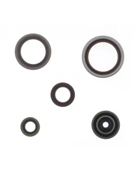 Set complet simeringuri motor Athena BETA RR 250 / 300 RR RACING '13-'25