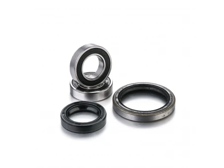 FACTORY LINKS 2024/03 ŁOŻYSKA KOŁA PRZEDNIEGO Z USZCZELNIACZAMI KTM EXC / MXC 125 / 200 / 250 / 300 / 380 400 / 520 00-02 (25-1080) | FWK-T-021