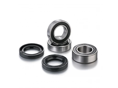 FACTORY LINKS 2024/03 ŁOŻYSKA KOŁA TYLNEGO Z USZCZELNIACZAMI HUSQVARNA CR / WR / TE / TC, SHERCO SEF / SE / SER 250 / 300 (25-1420) | RWK-Q-011