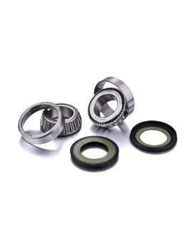 Rulmenti jug cu simeringuri Factory Links BMW S 1000 RR '10-'17, SUZUKI GSX-R 600 / 750 '97-'17, DL 650 V-STROM '04-'17, SV 650 S, TRIUMPH, YAMAHA R1 / R6 / FJR (22-1003)