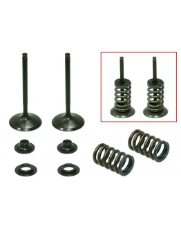 Supape de admisie PSYCHIC (kit complet supape și arcuri I Cu șaibe incluse) HONDA CRF 450 R '02-'08, TRX 450 R / ER '06-'14 Din Otel (MX-09502I) (36X5,49X84,75MM) Supape de admisie PSYCHIC (kit complet supape și arcuri I Cu șaibe incluse) HONDA CRF 450 R '02-'08, TRX 450 R / ER '06-'14 Din Otel (MX-09502I) (36X5,49X84,75MM)