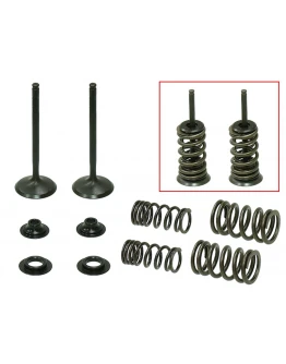 Supape evacuare PSYCHIC (kit complet supape și arcuri I Cu șaibe incluse) HONDA CRF 450 X '05-'17 Din Otel (MX-09503E) Supape evacuare PSYCHIC (kit complet supape și arcuri I Cu șaibe incluse) HONDA CRF 450 X '05-'17 Din Otel (MX-09503E)
