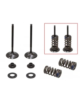 Supape de admisie PSYCHIC (kit complet supape și arcuri I Cu șaibe incluse) KAWASAKI KXF 250 '04-'06, SUZUKI RMZ 250 '04-'06 Din Otel (MX-09509I) (31X4,48X79MM) Supape de admisie PSYCHIC (kit complet supape și arcuri I Cu șaibe incluse) KAWASAKI KXF 250 '04-'06, SUZUKI RMZ 250 '04-'06 Din Otel (MX-09509I) (31X4,48X79MM)