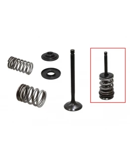 Supape evacuare PSYCHIC (kit complet supape și arcuri I Cu șaibe incluse) YAMAHA TW 200 '87-'16, TT-R 225 / 230 '00-'16 Din Otel (MX-09518E;XU-09518E-2) (28.5X6X92.5MM) Supape evacuare PSYCHIC (kit complet supape și arcuri I Cu șaibe incluse) YAMAHA TW 200 '87-'16, TT-R 225 / 230 '00-'16 Din Otel (MX-09518E;XU-09518E-2) (28.5X6X92.5MM)
