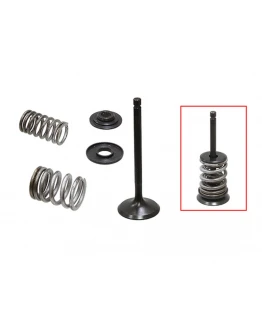 Supape de admisie PSYCHIC (kit complet supape și arcuri I Cu șaibe incluse) YAMAHA TW 200 '87-'16, TT-R 225 / 230 '00-'16 Din Otel (MX-09518I) (34X6X93.8MM) Supape de admisie PSYCHIC (kit complet supape și arcuri I Cu șaibe incluse) YAMAHA TW 200 '87-'16, TT-R 225 / 230 '00-'16 Din Otel (MX-09518I) (34X6X93.8MM)