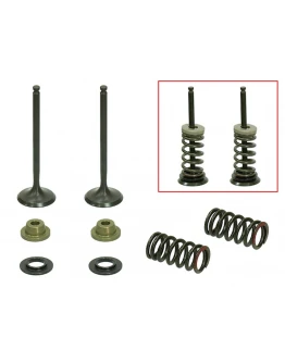 Supape evacuare PSYCHIC (kit complet supape și arcuri I Cu șaibe incluse) YAMAHA YZF 250 '01-'13, WR250F '01-'13 (WRF250) Din Otel (MX-09519E) (24,5X4,46X77,9MM) Supape evacuare PSYCHIC (kit complet supape și arcuri I Cu șaibe incluse) YAMAHA YZF 250 '01-'13, WR250F '01-'13 (WRF250) Din Otel (MX-09519E) (24,5X4,46X77,9MM)