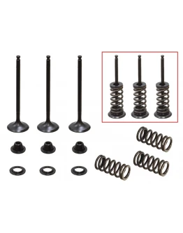 Supape admisie PSYCHIC (kit complet supape și arcuri I Cu șaibe incluse) YAMAHA YZF 250 '01-'13, GAS GAS EC 250F '10-15, 300F '13-15 STALOWE (XU-09519I, XU-09522I) (23X3,99X78,6MM) (23X3,98X80,1MM) Supape admisie PSYCHIC (kit complet supape și arcuri I Cu șaibe incluse) YAMAHA YZF 250 '01-'13, GAS GAS EC 250F '10-15, 300F '13-15 STALOWE (XU-09519I, XU-09522I) (23X3,99X78,6MM) (23X3,98X80,1MM)