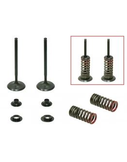 Supape de admisie PSYCHIC (kit complet supape și arcuri I Cu șaibe incluse) HONDA CRF 250 R '10-'15 Din Otel (MX-09523I) (21,5X13,5X5,5MM) Supape de admisie PSYCHIC (kit complet supape și arcuri I Cu șaibe incluse) HONDA CRF 250 R '10-'15 Din Otel (MX-09523I) (21,5X13,5X5,5MM)