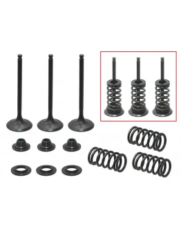 Supape de admisie PSYCHIC (kit complet supape și arcuri I Cu șaibe incluse) YAMAHA YZF 450 '03-'09, WR 450 F '03-'15, YFZ 450 '03-09, YFZ 450 R / X '09-'20, GAS GAS EC 450 F '13-'15 Din Otel (MX-09524I) (27X4,5X77,2MM) Supape de admisie PSYCHIC (kit complet supape și arcuri I Cu șaibe incluse) YAMAHA YZF 450 '03-'09, WR 450 F '03-'15, YFZ 450 '03-09, YFZ 450 R / X '09-'20, GAS GAS EC 450 F '13-'15 Din Otel (MX-09524I) (27X4,5X77,2MM)
