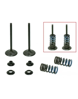 Supape de admisie PSYCHIC (kit complet supape și arcuri I Cu șaibe incluse) HONDA CRF 250 R '04-'07, CRF 250 X '04-'17 Din Otel (MX-09526I) Supape de admisie PSYCHIC (kit complet supape și arcuri I Cu șaibe incluse) HONDA CRF 250 R '04-'07, CRF 250 X '04-'17 Din Otel (MX-09526I)