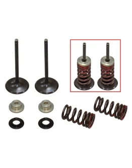 Supape de admisie PSYCHIC (kit complet supape și arcuri I Cu șaibe incluse) SUZUKI RMZ 250 '10-'15 Din Otel (MX-09531I) (31X4,48X80,2MM) Supape de admisie PSYCHIC (kit complet supape și arcuri I Cu șaibe incluse) SUZUKI RMZ 250 '10-'15 Din Otel (MX-09531I) (31X4,48X80,2MM)