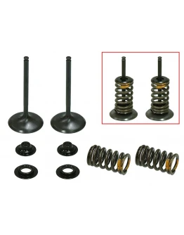 Supape de admisie PSYCHIC (kit complet supape și arcuri I Cu șaibe incluse) HONDA CRF 450R '09-'16 Din Otel (MX-09533I) (36X4,98X78,65MM) Supape de admisie PSYCHIC (kit complet supape și arcuri I Cu șaibe incluse) HONDA CRF 450R '09-'16 Din Otel (MX-09533I) (36X4,98X78,65MM)