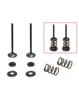 Supape evacuare PSYCHIC (kit complet supape și arcuri I Cu șaibe incluse) HUSABERG FE 250 '13, KTM EXCF 250 '08-'14 (MX-09551E) Supape evacuare PSYCHIC (kit complet supape și arcuri I Cu șaibe incluse) HUSABERG FE 250 '13, KTM EXCF 250 '08-'14 (MX-09551E)