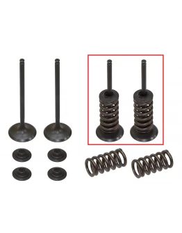 Supape de admisie PSYCHIC (kit complet supape și arcuri I Cu șaibe incluse) HUSABERG FE 250 '13, KTM EXCF 250 '08-'14 (MX-09551I) Supape de admisie PSYCHIC (kit complet supape și arcuri I Cu șaibe incluse) HUSABERG FE 250 '13, KTM EXCF 250 '08-'14 (MX-09551I)