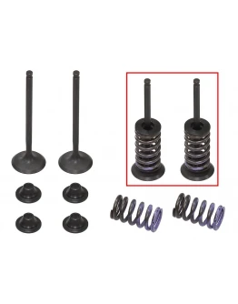Supape evacuare PSYCHIC (kit complet supape și arcuri I Cu șaibe incluse) YAMAHA WRF 250 '15-'23, YZF 250 '14-'23, YZF 250 FX '15-'18 (MX-09553E) Supape evacuare PSYCHIC (kit complet supape și arcuri I Cu șaibe incluse) YAMAHA WRF 250 '15-'23, YZF 250 '14-'23, YZF 250 FX '15-'18 (MX-09553E)