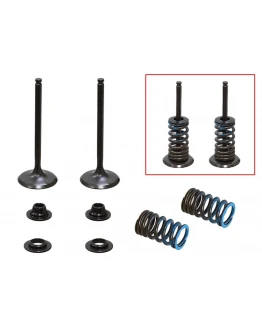 Supape de admisie PSYCHIC (kit complet supape și arcuri I Cu șaibe incluse) YAMAHA WRF 250 '15-'19, YZF 250 '14-'18, YZ 250 FX '15-'18 Din Otel (MX-09553I) (31X4,95X83,6MM) Supape de admisie PSYCHIC (kit complet supape și arcuri I Cu șaibe incluse) YAMAHA WRF 250 '15-'19, YZF 250 '14-'18, YZ 250 FX '15-'18 Din Otel (MX-09553I) (31X4,95X83,6MM)