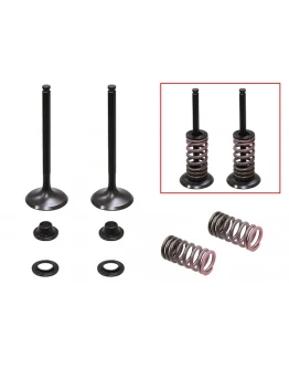 Supape evacuare PSYCHIC (kit complet supape și arcuri I Cu șaibe incluse) YAMAHA WRF 450 '16-'20, (WR 450 F) YZF 450 '14-'19, YZ 450FX '16-'20 Din Otel (MX-09554E) (35X5,45X85,77MM) Supape evacuare PSYCHIC (kit complet supape și arcuri I Cu șaibe incluse) YAMAHA WRF 450 '16-'20, (WR 450 F) YZF 450 '14-'19, YZ 450FX '16-'20 Din Otel (MX-09554E) (35X5,45X85,77MM)