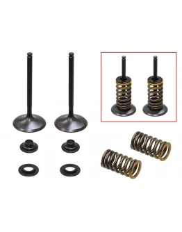 Supape de admisie PSYCHIC (kit complet supape și arcuri I Cu șaibe incluse) YAMAHA WRF 450 '16-'20, (WR 450 F) YZF 450 '14-'19, YZ 450FX '16-'20 Din Otel (MX-09554I) (36,95X5,47X83,68MM Supape de admisie PSYCHIC (kit complet supape și arcuri I Cu șaibe incluse) YAMAHA WRF 450 '16-'20, (WR 450 F) YZF 450 '14-'19, YZ 450FX '16-'20 Din Otel (MX-09554I) (36,95X5,47X83,68MM