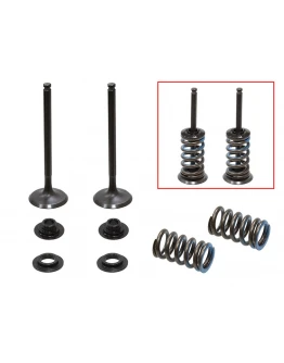 Supape evacuare PSYCHIC (kit complet supape și arcuri I Cu șaibe incluse) HUSQVARNA FC 350 '14-'22, KTM SX-F / XC-F 350 '13-'19 (MX-09556E) Supape evacuare PSYCHIC (kit complet supape și arcuri I Cu șaibe incluse) HUSQVARNA FC 350 '14-'22, KTM SX-F / XC-F 350 '13-'19 (MX-09556E)