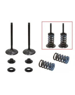 Supape de admisie PSYCHIC (kit complet supape și arcuri I Cu șaibe incluse) HUSQVARNA FC 350 '14-'22, KTM SX-F / XC-F 350 '13-'19 (MX-09556I) Supape de admisie PSYCHIC (kit complet supape și arcuri I Cu șaibe incluse) HUSQVARNA FC 350 '14-'22, KTM SX-F / XC-F 350 '13-'19 (MX-09556I)